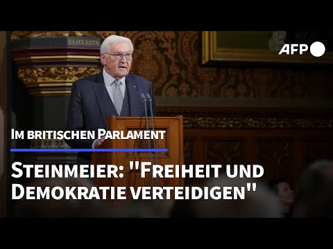 Steinmeier ruft vor britischem Parlament zur Verteidigung der Demokratie auf | AFP