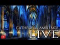 CATHEDRAL AMBIENCE LIVE | 1 HOUR of Calming Pipe Organ Music for Meditation, Study, Sleep, etc.