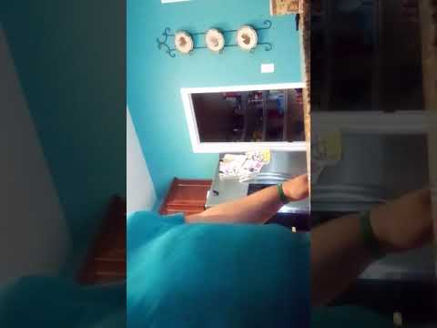 Making/distilling oregano oil