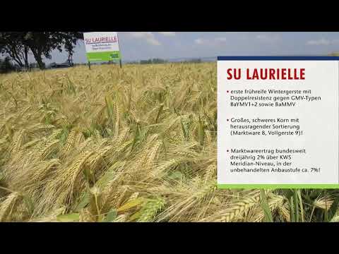 Saaten-Union: Winterfuttergerste LAURIELLE, Vertriebsberater Carsten Knobbe, Standort Böhnshausen