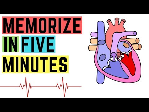 [IGCSE/GCSE] Heart Structure - Memorize In 5 Minutes Or Less!