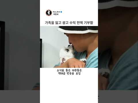 가족을 잃고 광고 수익 전액 기부함