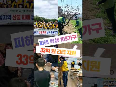 산불 대응 수범 사례집 &#39;산불을 이겨낸 초록빛 희망이야기&#39;