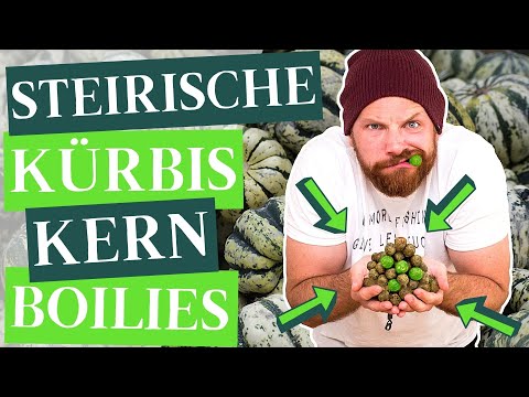 Steirische Kürbiskern Boilies - Fängige Boilies Selbst Rollen!