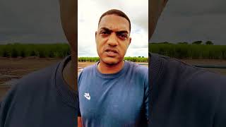 são as Pedras do caminho que corrigem nossos passos. #caminhão #caminhoneiro