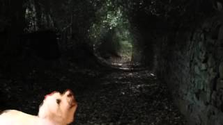 Frankenstein Deleted Scene video