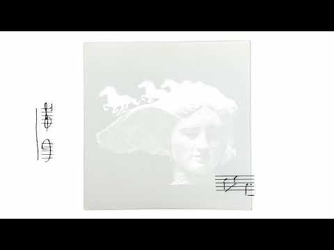 THESE NEW PURITANS. - THE OTHER SIDE (OFFICIAL AUDIO)