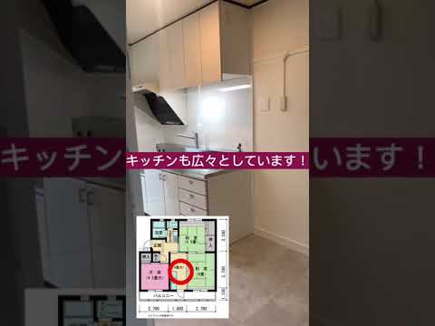 人間生活　UR梅ノ木団地での住戸改装プロジェクト2