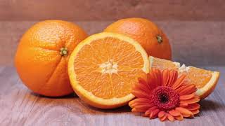 Music video thumbnail preview for Amboy Dukes featuring Ted Nugent   Why is a carrot more orange than an orange by The Amboy Dukes