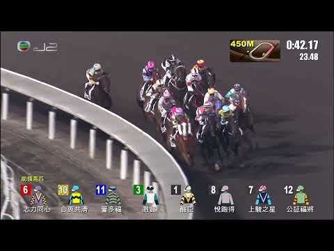 29/12/2021 (297) 張燈結綵 (E272) 波健士