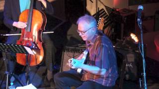 Bill Frisell plays Surfer Girl with Deimel Firestar