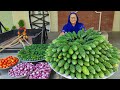 Karela Cooked In Our Traditional Style Bitter Gourd Recipe Village Cooking Recipe
