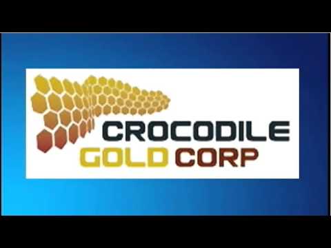 December 31st Trade What You See with host Larry Pesavento - 2012