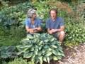 Sun and Shade Hostas Sun and Shade Hostas