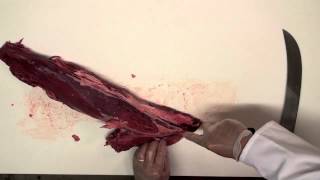 Tenderloin Copy