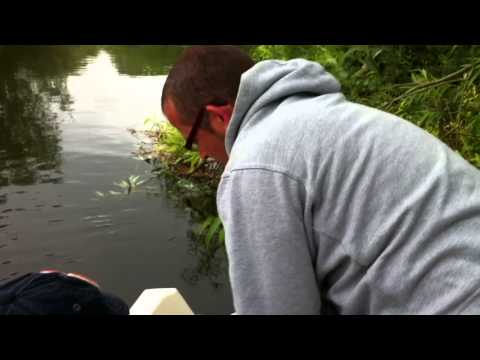 Teaching Little Man to fish for monsters