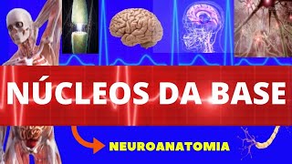 NÚCLEOS DA BASE (NEUROANATOMIA) - VIA DIRETA E INDIRETA - ANATOMIA DOS NÚCLEOS DA BASE - ANATOMIA