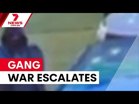 Sydney's deadly gang war spirals out of control | 7NEWS