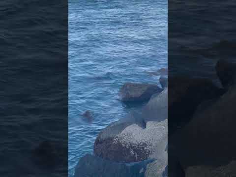 Enjoying beautiful Miami Beach 🏖️ ♥️.