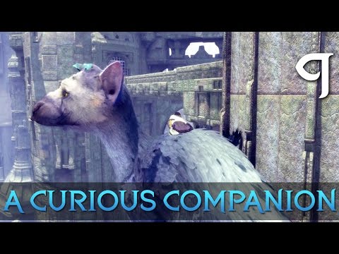[9] A Curious Companion (Let's Play The Last Guardian PS4 Pro w/ GaLm)