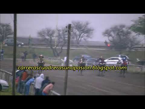 TIZIANO, Hipico Social Federación (25-08-2019), Dist. 500mts.