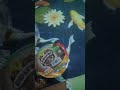 Buka Jajan Koko Krunch Dapat Hadiah
