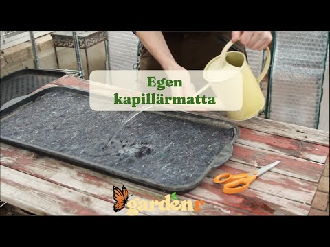 Egen kapillärmatta - Trädgårdshacks med GardenR