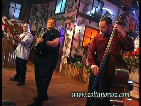 Orosz Zoltán Trió - J.Brahms.V.Magyar tánc - Hungarian Dance - Ungarische Tanz
