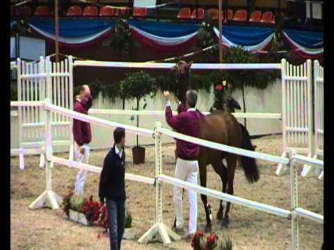 Storm (Singulord Joter)