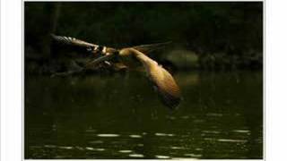 And Your Praise Goes On