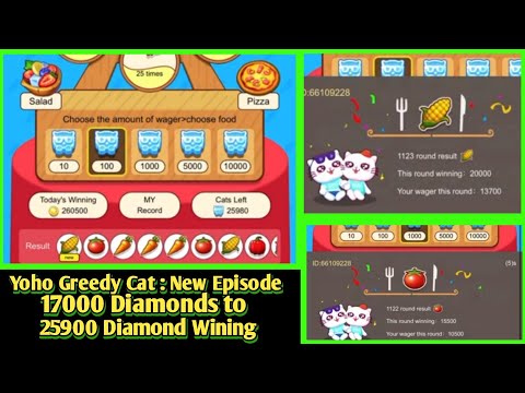 New Episode : Mico Cat/Yoho Greedy New Full Trick Video 2023 | Yoho Greedy Cat New Game