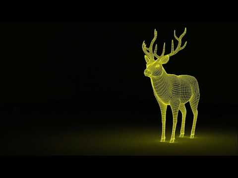 Ben Böhmer - Yotto - Jan Blomqvist - Stephan Jolk - Matador (Omer Gigi Set)