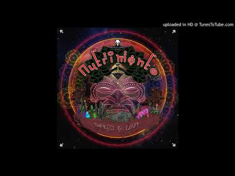 Arcek - Light Soul's Dynamo