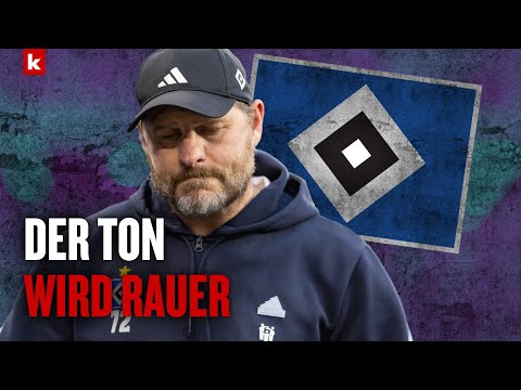 Baumgart mit Medienschelte: "Ich weiß, wer aus welcher Ecke schießt" | Hamburger SV