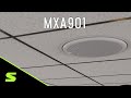 Shure Microphone de plafond multicapsules MXA901B-R Noir