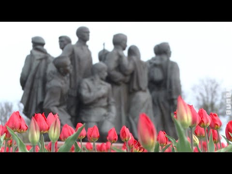 В Витебске 9 мая прошли праздничные мероприятия