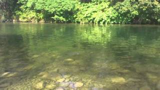 preview picture of video 'FISHING - LOV KLENA RD RADOVLJICA'