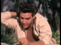 Elvis Preley - Follow That Dream (1961).