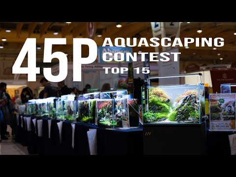 45P AQUASCAPING CONTEST - TOP 15 AQUARIUMS