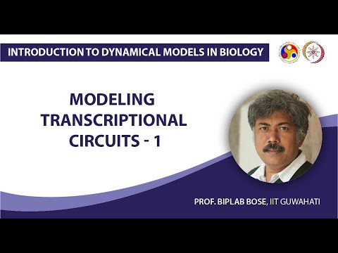 Modeling Transcriptional Circuits-1