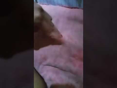 berbeda sama lainx🙏