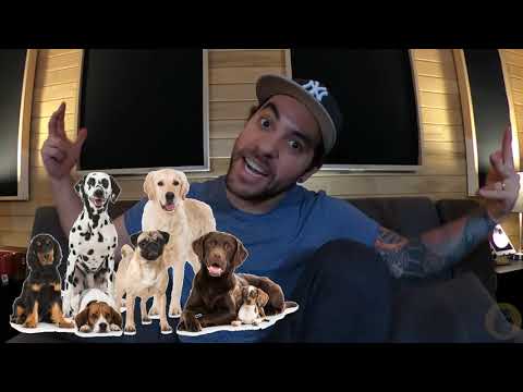 El Gorila Del Bombo - UN DÍA DE GRABACIÓN Y UN POCO DE MI HISTORIA Ep 25