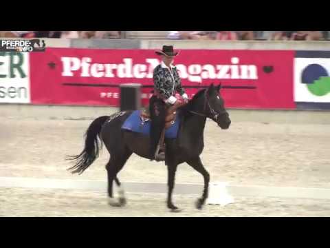 Mustang Makeover 2018 - Cathleen Trudrung