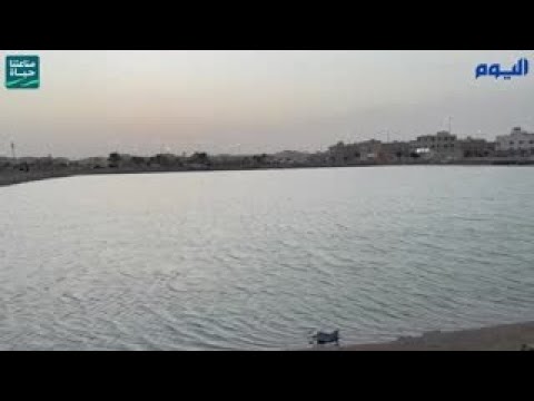مستنقعات «ضاحية الملك فهد» تهدد حياة المواطنين