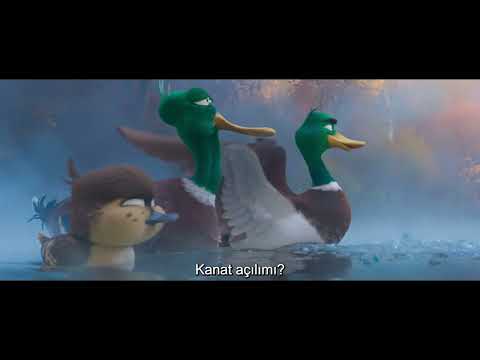 ÖRDEKLERİN GÖÇÜ | Türkçe Alt Yazılı Birinci Fragman