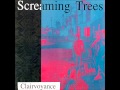 Orange Airplane -Screaming Trees