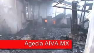 preview picture of video 'Incendian 2 empacadoras exportadoras de Aguacate en Tancitaro'