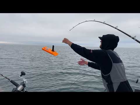 DW Ninja Board Release