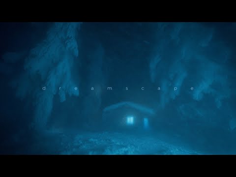 analog_mannequin - and all its contents