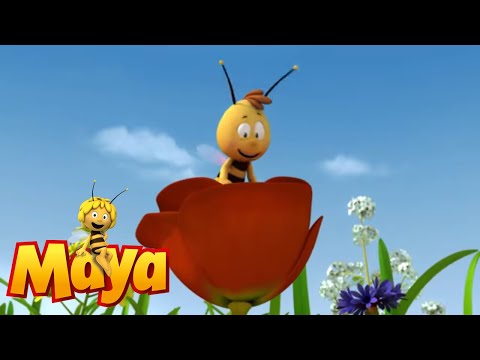 Mrs. Hermit beetle's journey - Maya the Bee - Episode 23